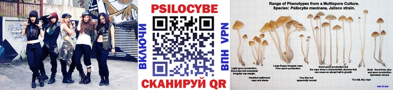 Купить  Котово  Псилоцибиновые грибы ЛСД 